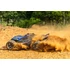 Kép 2/6 - TRAXXAS Rustler 4x4 VXL HD orange 1/10 Stadium-Truck RTR Brushless